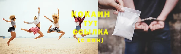 метадон Михайлов