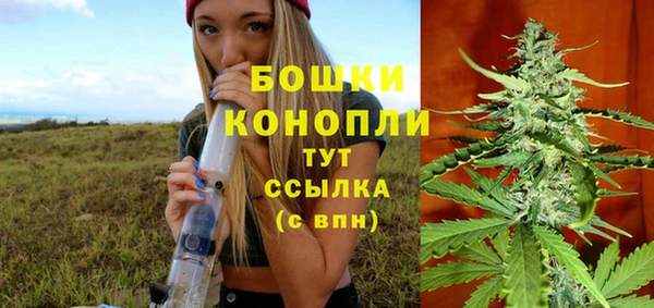 метадон Михайлов