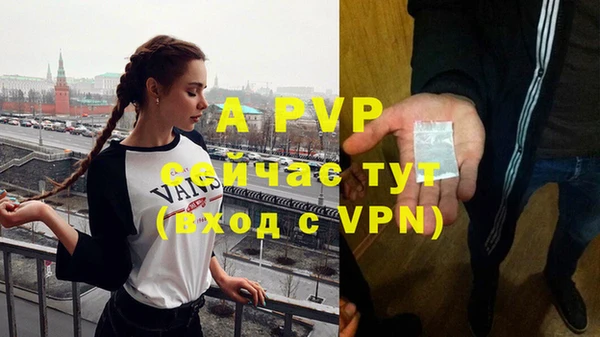 эйфоретик Михайловск
