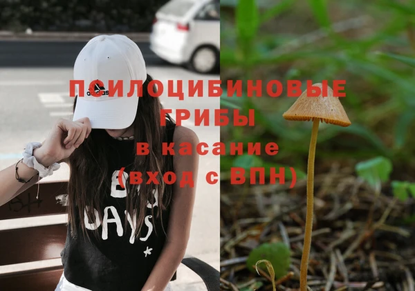 трава Михайловка