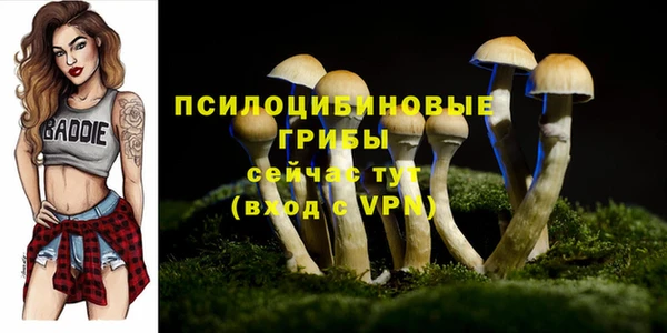 трава Михайловка