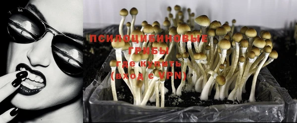 эйфоретик Михайловск