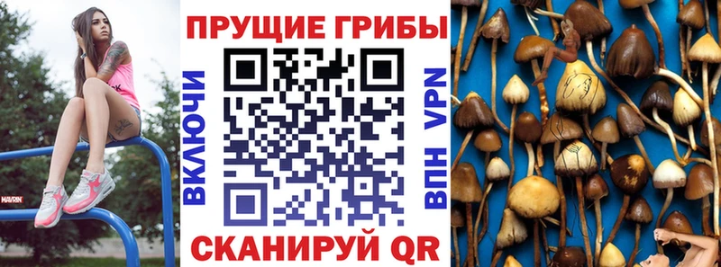 Галлюциногенные грибы GOLDEN TEACHER  Самара 